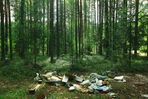 Professional debris management services