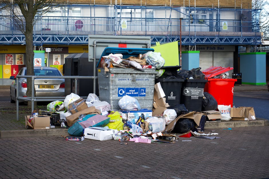 Bayswater Queensway rubbish collection guide for residents